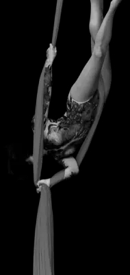 An image of a Circus Performer